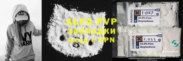 дживик Ельня