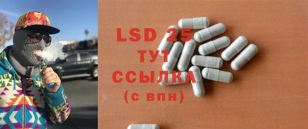 дживик Ельня