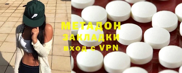 дживик Ельня