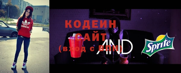 дживик Ельня