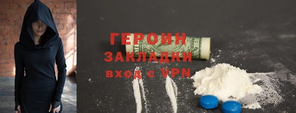 дживик Ельня
