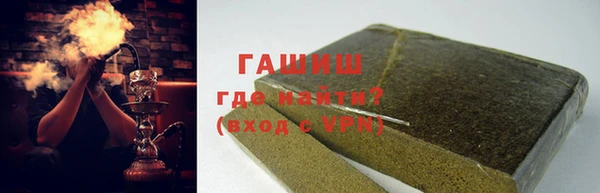 дживик Ельня