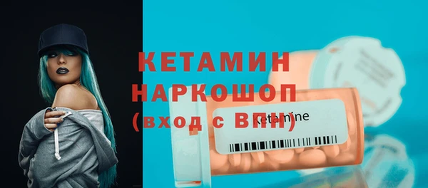 дживик Ельня