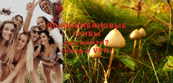 не бодяженный Елабуга