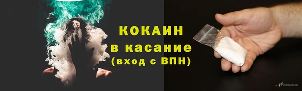 дживик Ельня
