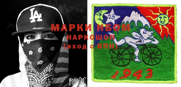дживик Ельня