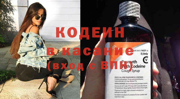 дживик Ельня