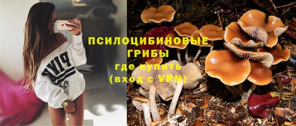 не бодяженный Елабуга