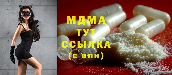 дживик Ельня