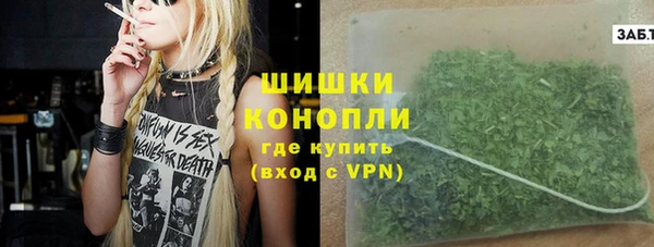 дживик Ельня