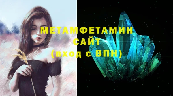 дживик Ельня