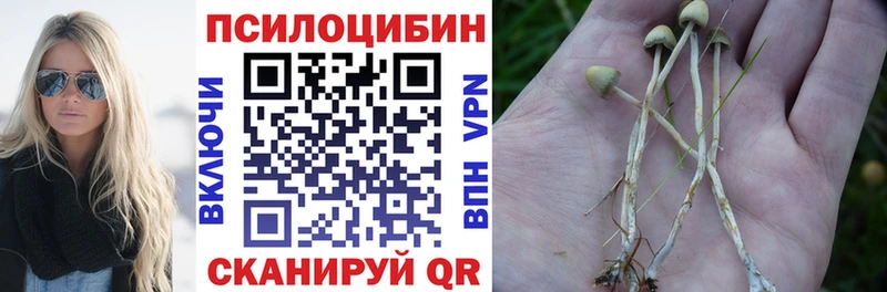 Галлюциногенные грибы Psilocybine cubensis  Купить где  Приморск 