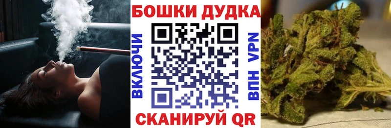 Конопля сатива Купить где Приморск